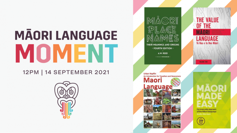 Maori Language Moment