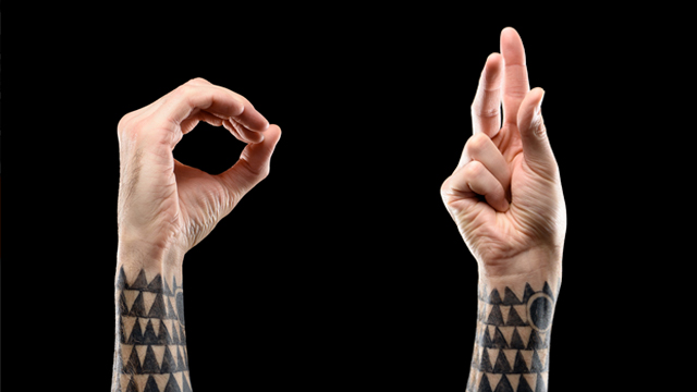 Sign Language